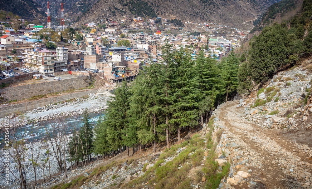 Fototapeta premium Cedar trees and mountain town
