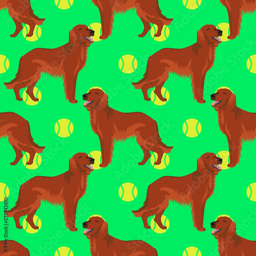 Irish red setter dog seamless pattern