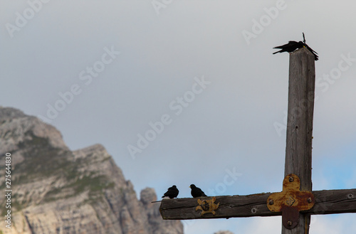 In volo fra le Dolomiti