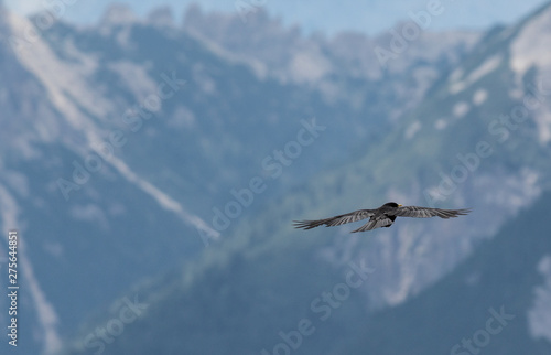 In volo fra le Dolomiti
