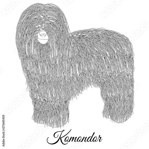 Komondor dog cartoon outline. Vector coloring