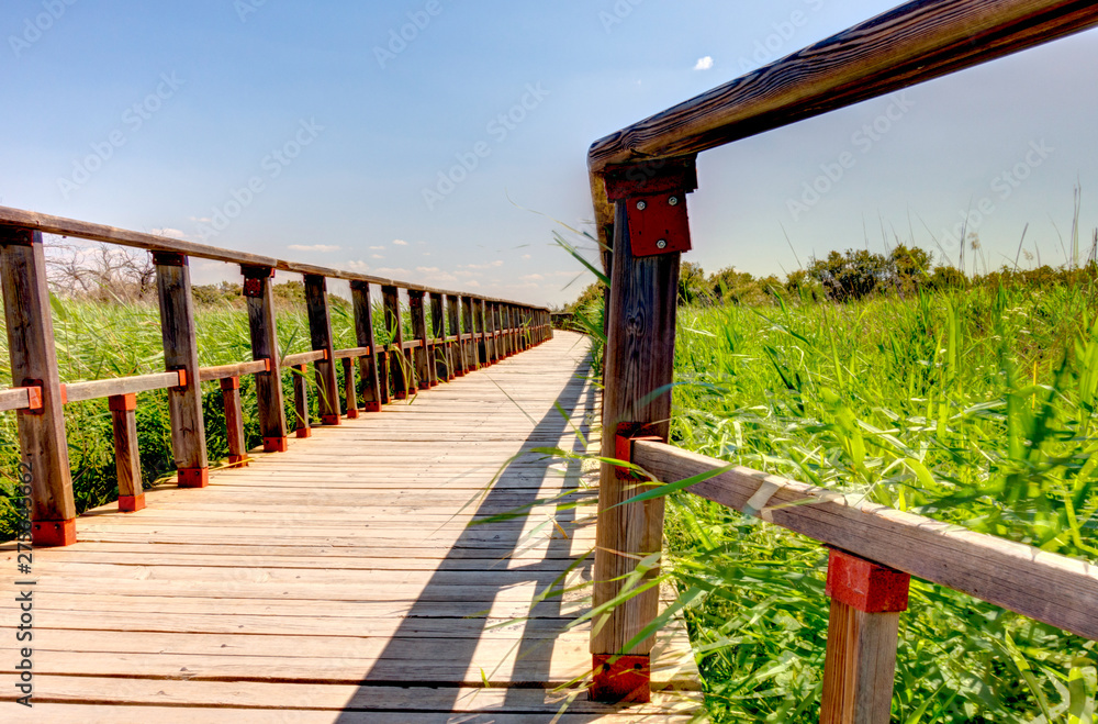 Tablas de Daimiel National Park, Spain Tablas de Daimiel National Park, Spain