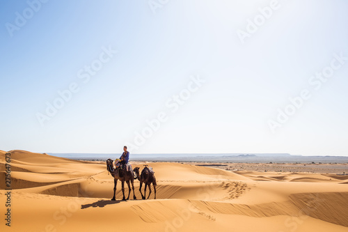 Caravan of one person and two camels in summer Sahara getting to breathtaking international destination, berber nature sands landscape of Safari environment, concept of wildlife and Egypt people