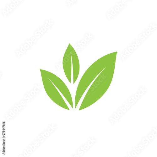 Fototapeta Naklejka Na Ścianę i Meble -  Tree green leaf vector icon.