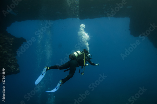 Scuba divers swimming under water