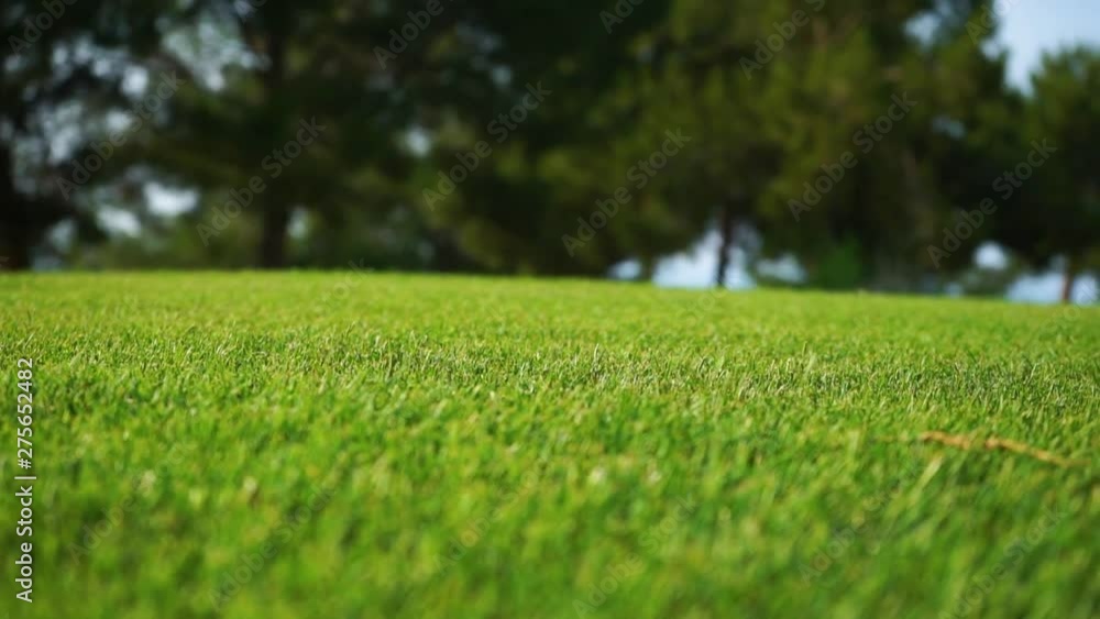 Golf course with green grass. A place for recreation, sports and entertainment. Green background. Close up Golf course with green grass. A place for recreation, sports and entertainment. Green background. Close up