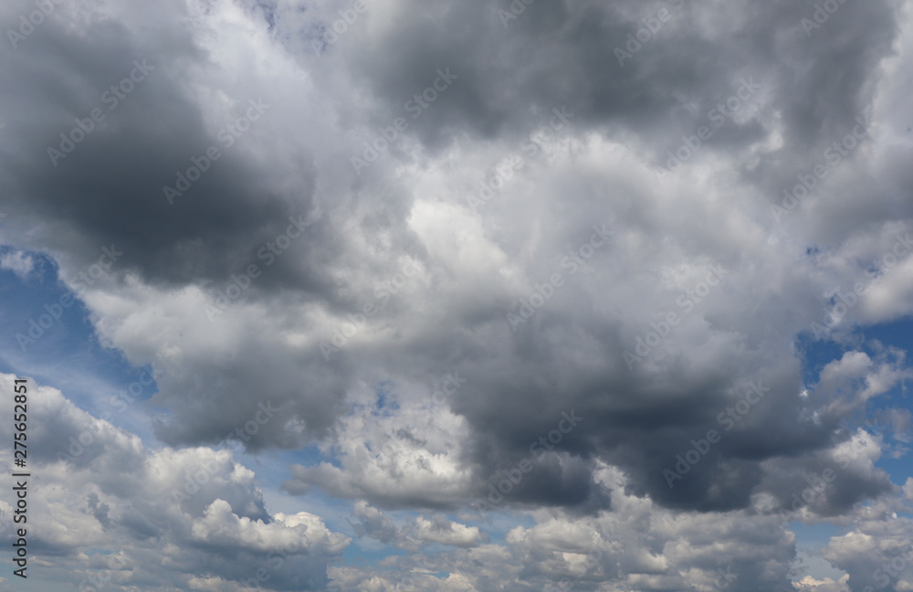 Fototapeta premium Clouds float in the sky