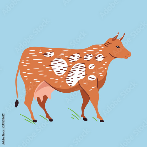 Vector illustration of cow. Farm illustration.