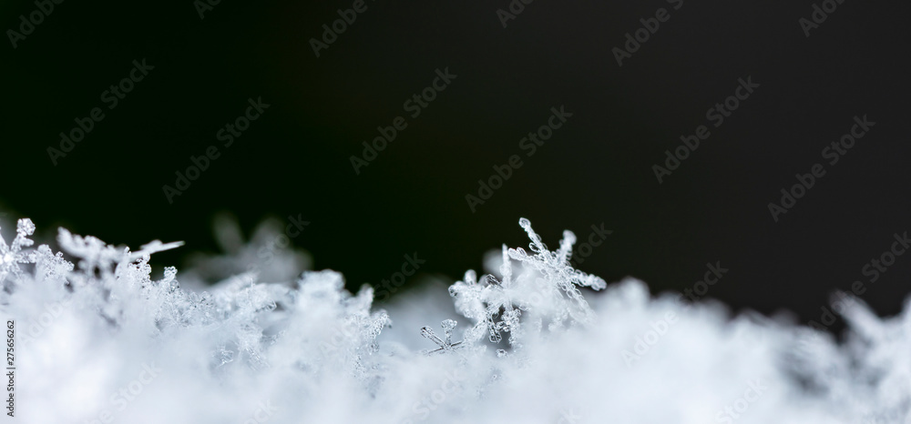 natural snowflakes on snow. the picture is made at a temperature of-10 C natural snowflakes on snow. the picture is made at a temperature of-10 C
