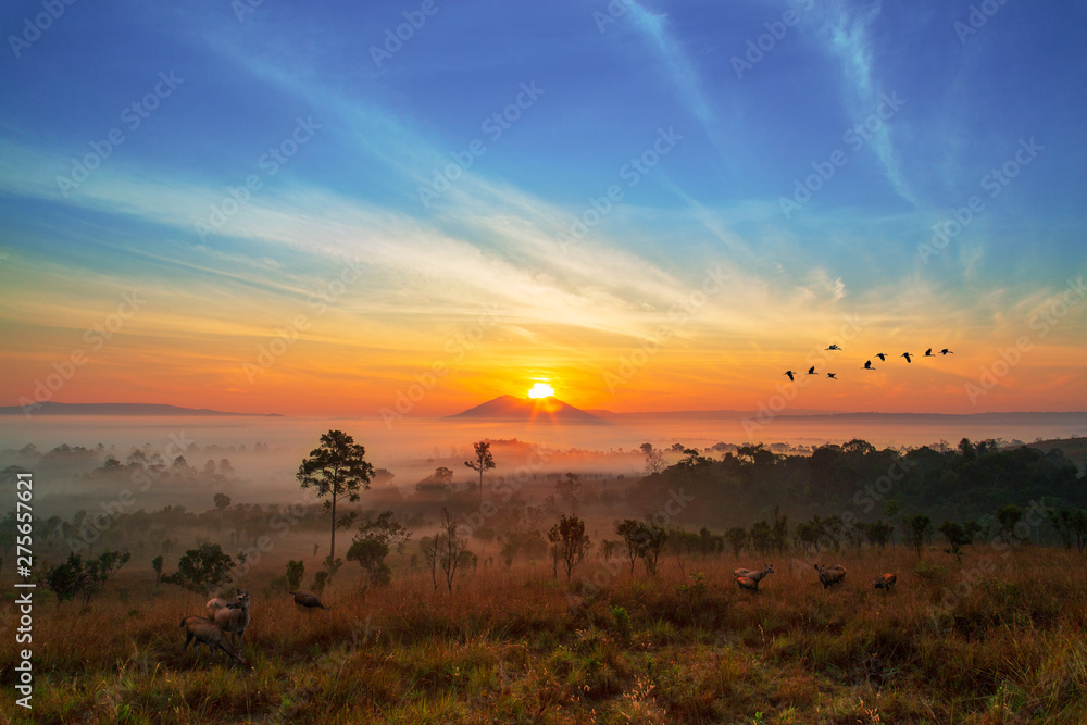 Obraz premium Sunrise over the field of nature on the morning.