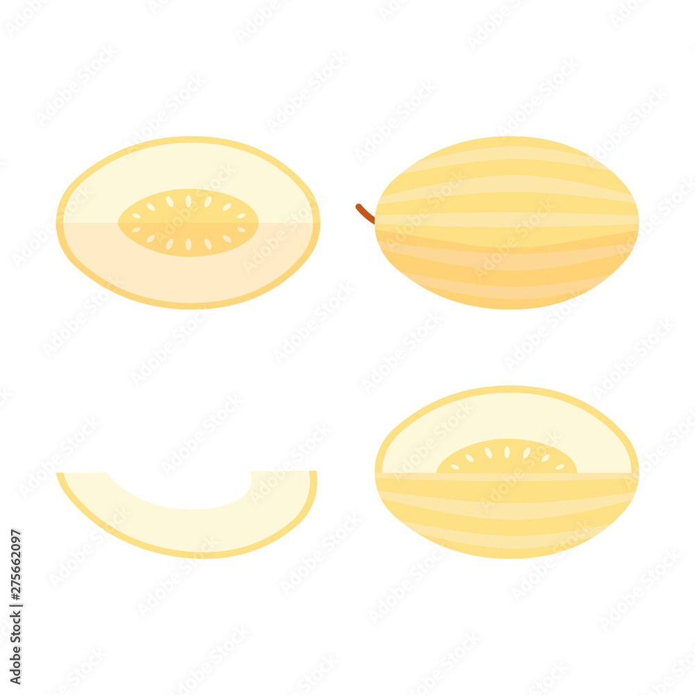 Icon set of melon cantaloupe, vector illustration flat style