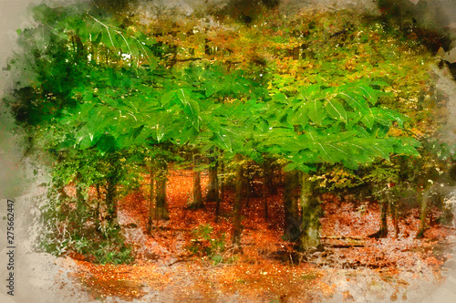 Digital watercolor painting...