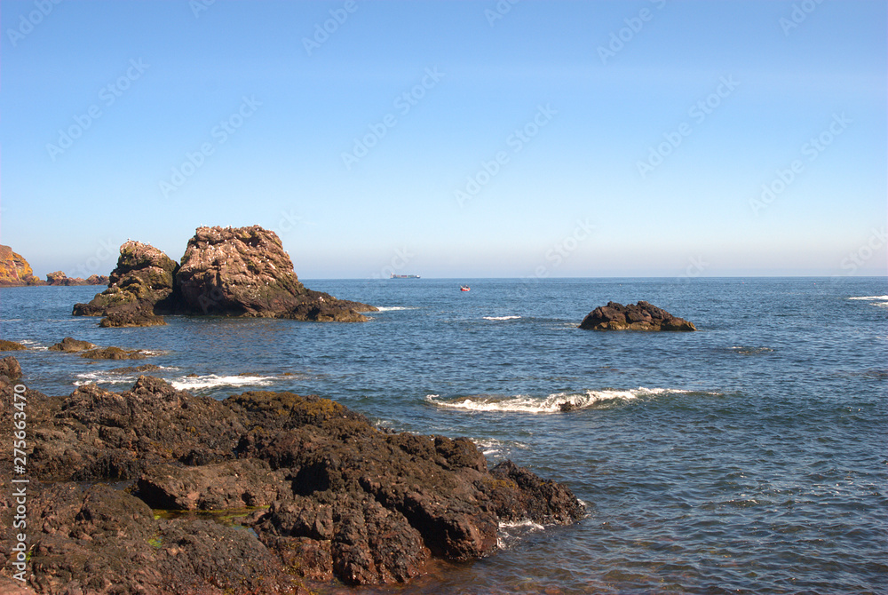rocks, sea and coast at St. Abbs, Berwickshire, scotland