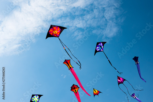 Kites with blue sky and white clouds photo