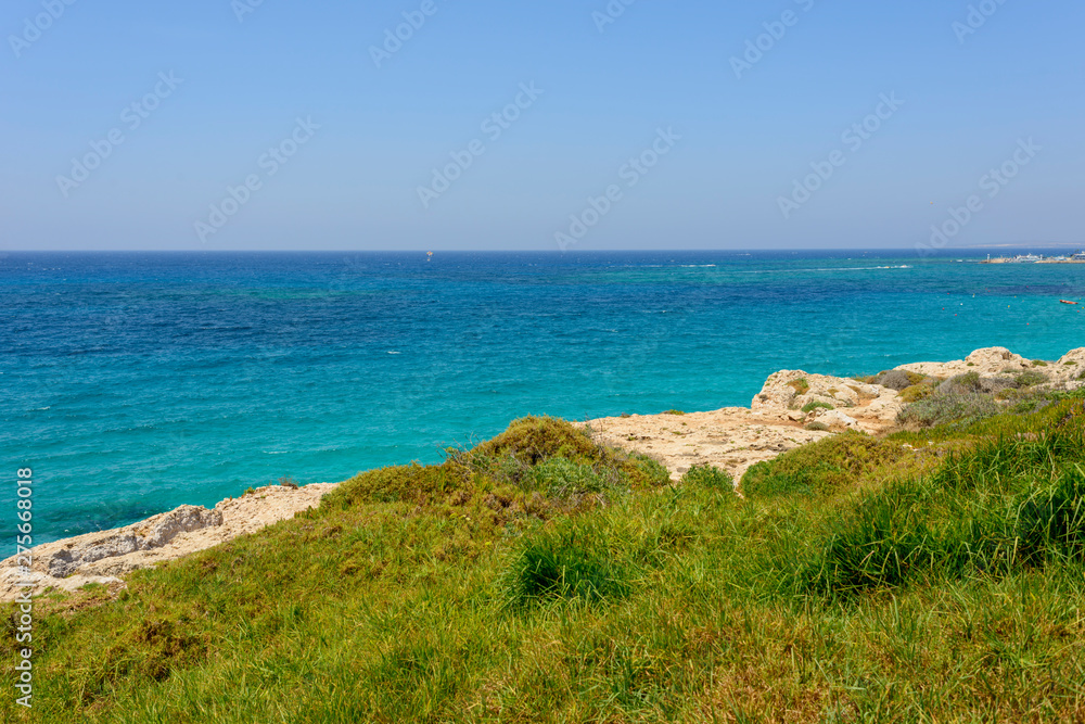 Cyprian coastal plants against a blue sea