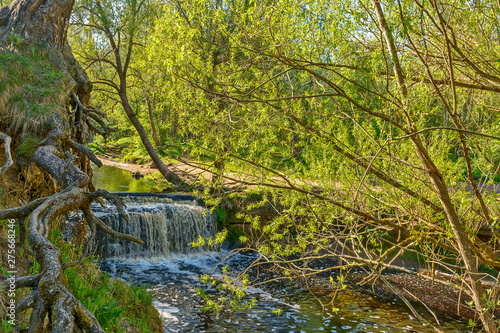 Waterfall on the river Sablinka in the village of Ulyanovsk, Leningrad region. photo