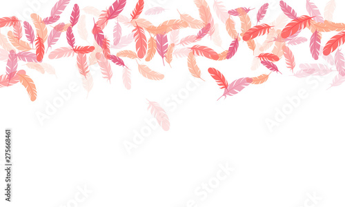 Fluffy twirled feathers on white design.