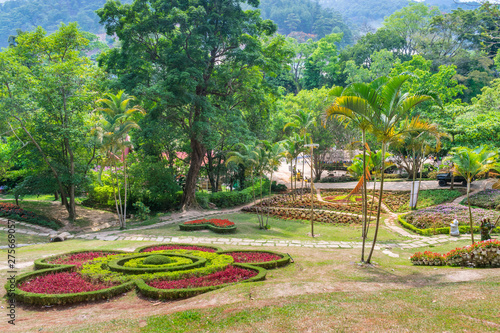Magnificent tropical park with palm trees and flowers in Dalat