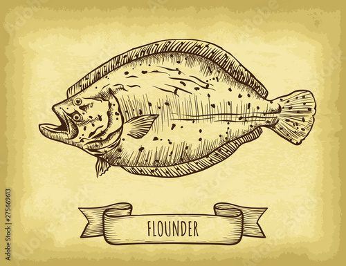 Hand drawn flounder fish isolated. Old craft paper texture background. Ribbon banner. Engraved style vector illustration. Template for your design works.