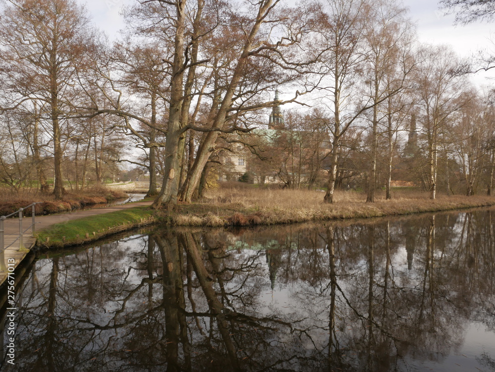 Lake tree reflection