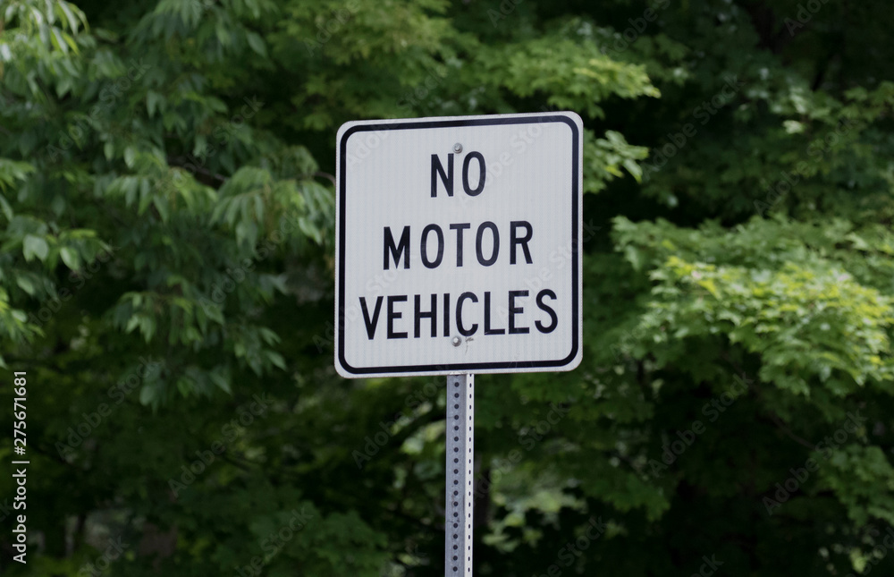 now motor vehicle sign 