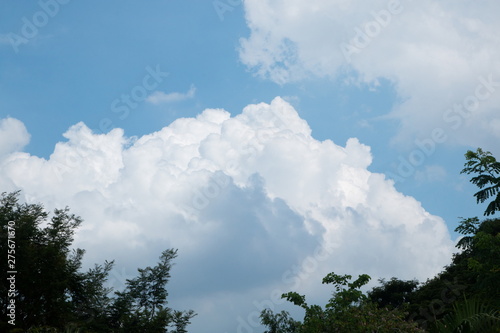 blue sky and cloudy with tree frame . © Rattanachai