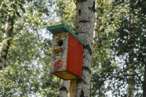 Red color painted birdhouse. Nesting box on tree.