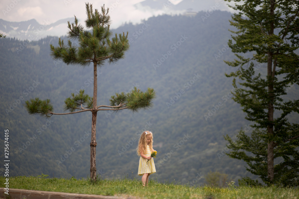 little girl on a background of mountains and wood