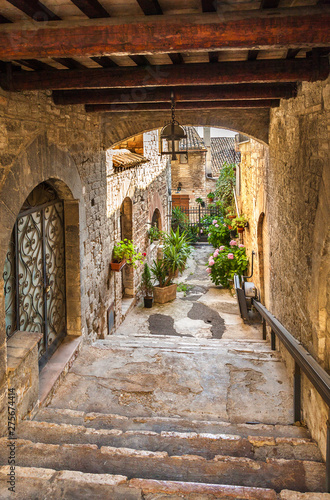 Beautiful yard in the town Assisi  Italy