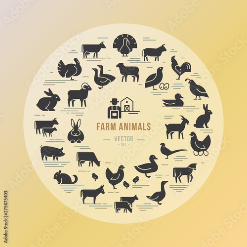 Circular vector icon set in a flat style of farm animals silhouettes. Circular concept of farm animals. With place for text.