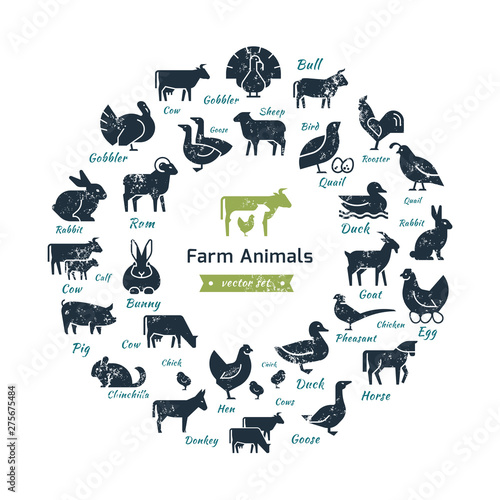 Circular vector icon set in a flat style of farm animals silhouettes. Circular concept of farm animals. With place for text.