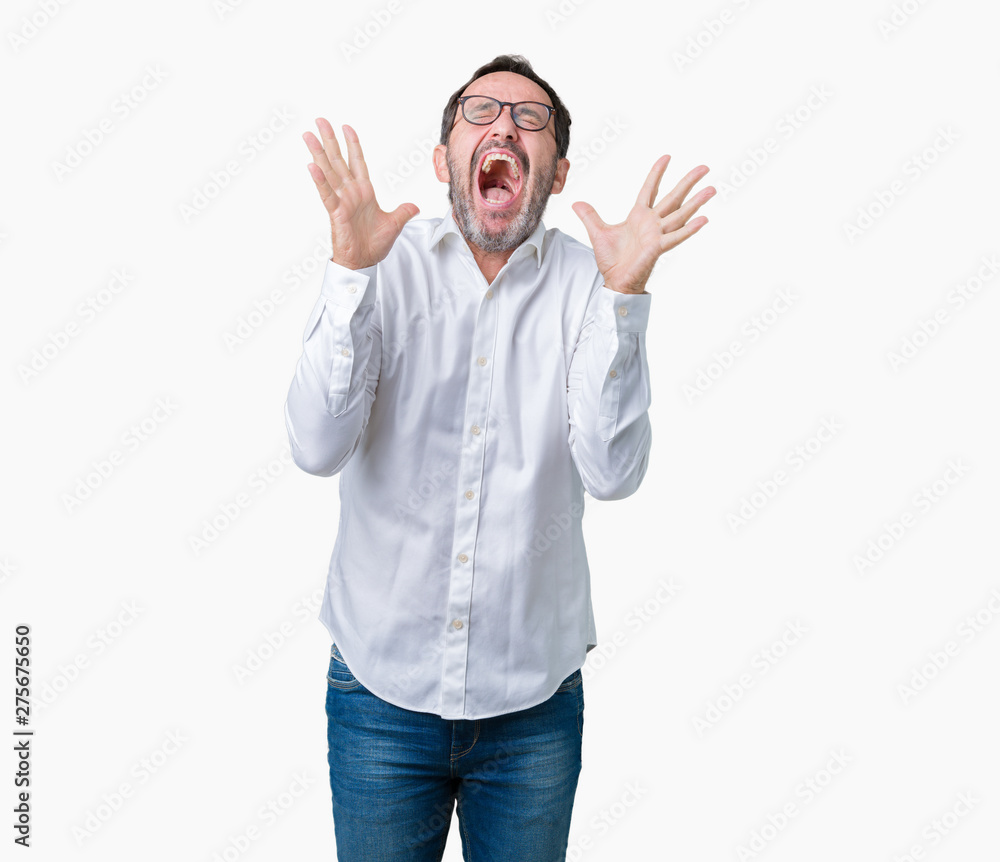 Handsome middle age elegant senior business man wearing glasses over isolated background celebrating mad and crazy for success with arms raised and closed eyes screaming excited. Winner concept Handsome middle age elegant senior business man wearing glasses over isolated background celebrating mad and crazy for success with arms raised and closed eyes screaming excited. Winner concept