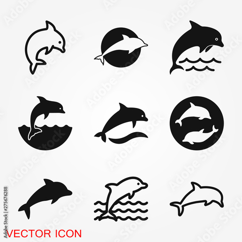Dolphin icon, aquatic mammal vector icon for animal apps and websites