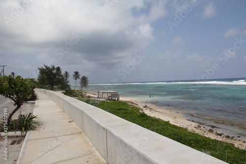 Wallpaper Mural grand cayman island beach summer Torontodigital.ca