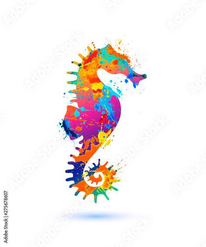 Seahorse silhouette symbol of splash paint