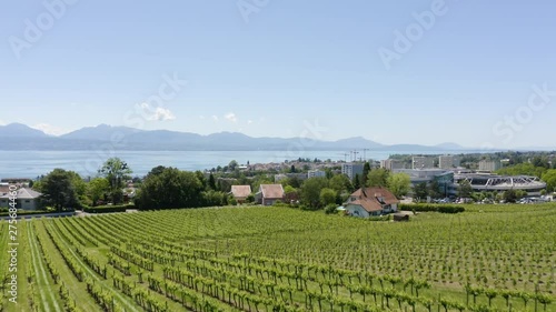 Aerial climb from vineyard revealing Morges agglomeration and Lake Leman