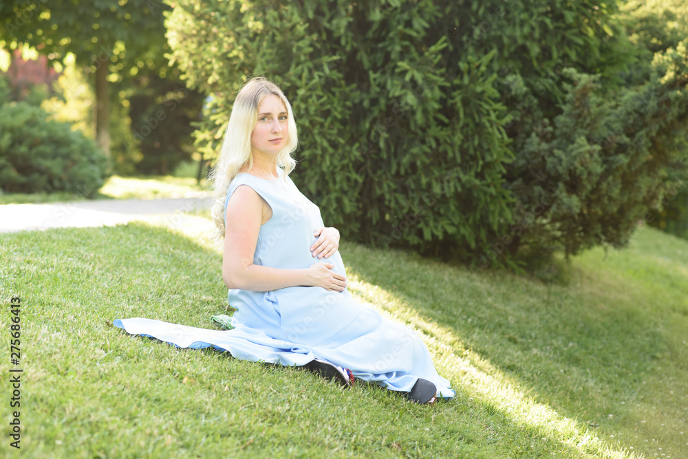Beautiful portrait of a pregnant woman on a warm summer day in the nature. Pregnancy and season concept Beautiful portrait of a pregnant woman on a warm summer day in the nature. Pregnancy and season concept