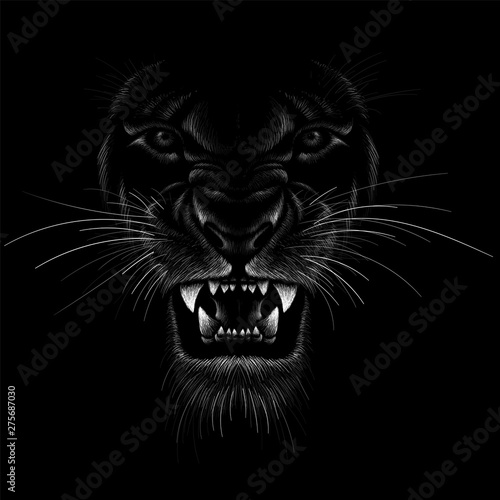 The Vector logo lion for tattoo or T-shirt  print design or outwear.  Hunting style lions background.