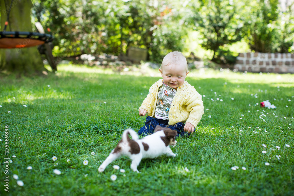 Obraz premium dem Welpe nachjagen