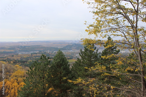 autumn landscape with trees and blue sky