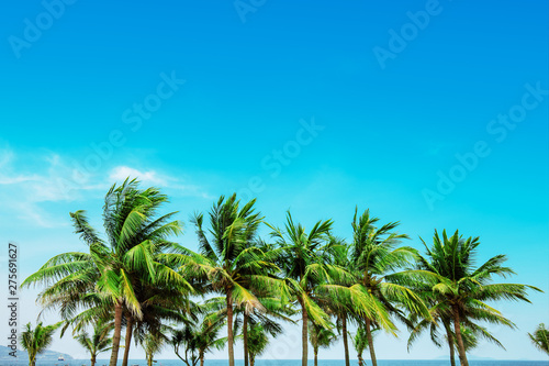 Wallpaper Mural Coconut trees at the beach Torontodigital.ca