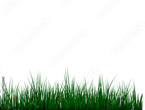Green grass meadow border vector pattern. Spring or summer plant lawn. Photo realistic grass on a transparent background.