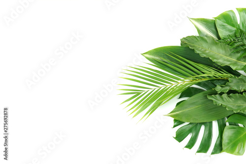 Fresh green palm leaves isolated on white background  summer plants object