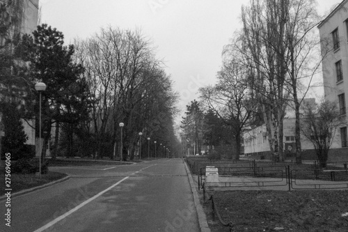 Road in the park, Chisinau, Moldova
