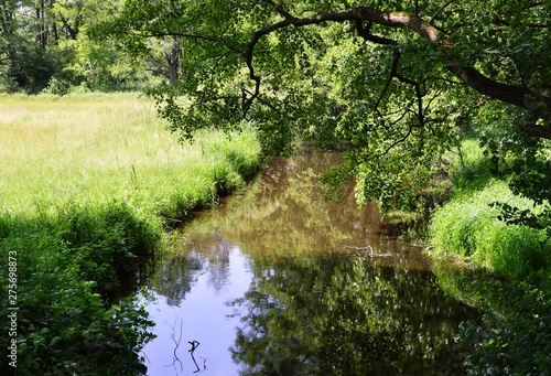 kleiner Wasserlauf