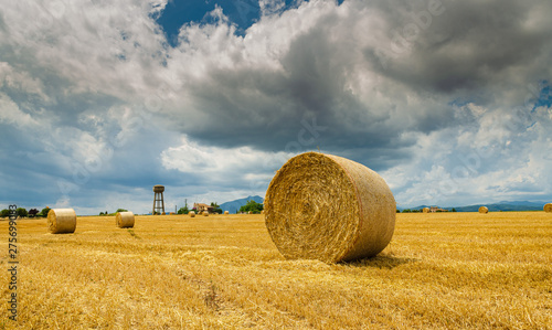 Fotografie Round bale of hay