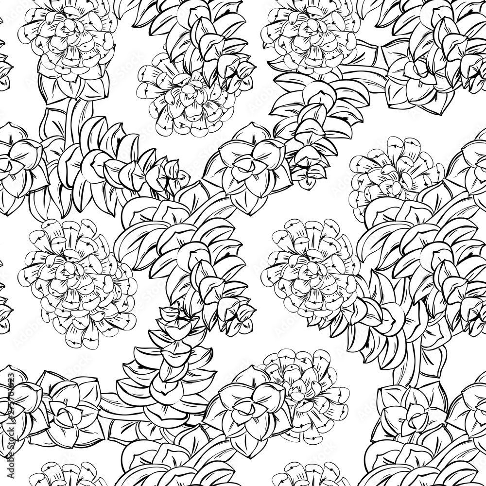 Flower garden succulent hand drawn line art. Cute seamless vector tile pattern. Retro vintage.