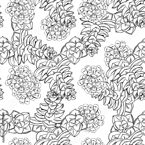 Flower garden succulent hand drawn line art. Cute seamless vector tile pattern. Retro vintage.