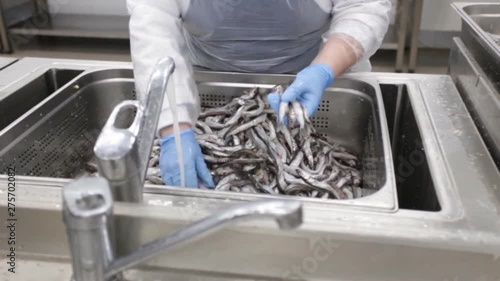washing fish in food production