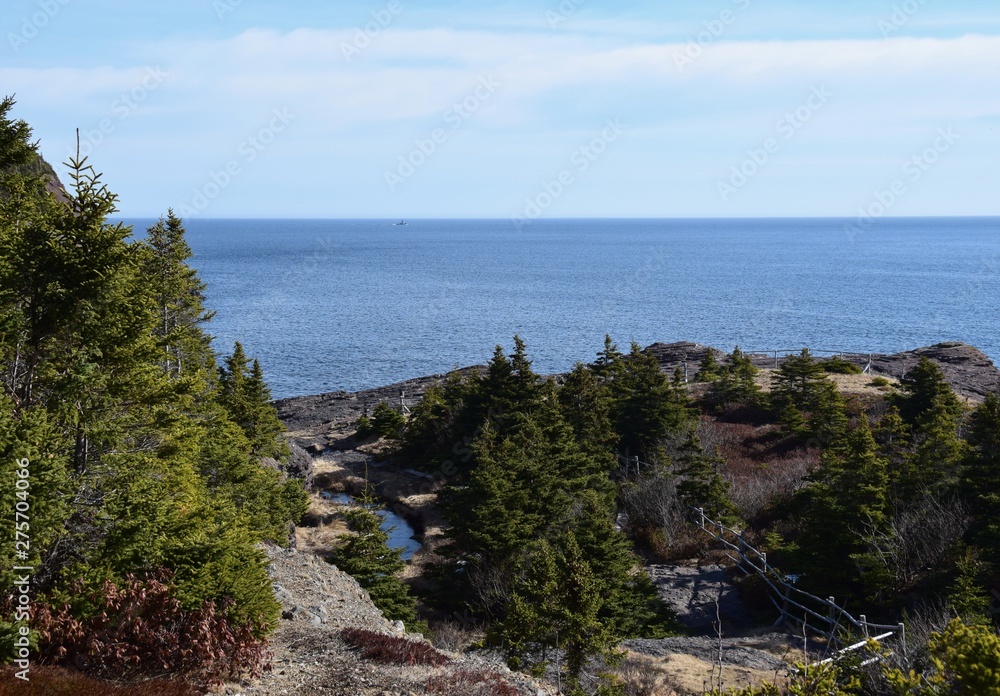rugged shoreline landscape along the East Coast trail, Stiles Cove Path near Flatrock Newfoundland Canada; early Spring 